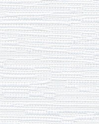 7700R Blackout TB1 Crystal 118 Inch Wide by   