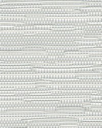 7700R Blackout TB4 Chalk 118 Inch Wide by   