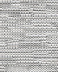 7700R Blackout TB5 Graphite 118 Inch Wide by   