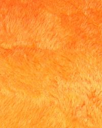 Fluffy Orange  by   