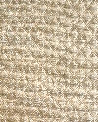 Massachusetts Parchment by   