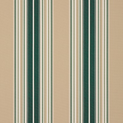 Sunbrella Sunbrella Awning 4932 0000 Forest Green Beige Natural Fancy 46 in Sunbrella Awning Green Multipurpose Solution  Blend Stripes and Plaids Outdoor  Awning Material Striped  Patterned Sunbrella   Fabric