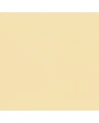 Empire Light Taupe 202 by  Alendel 