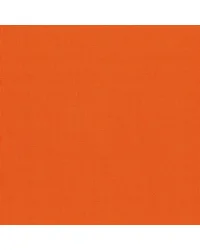 Empire Sun Orange 5511 by  Alendel 