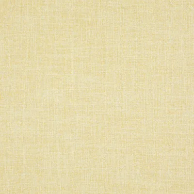 Alendel Toronto Lemonade 0529