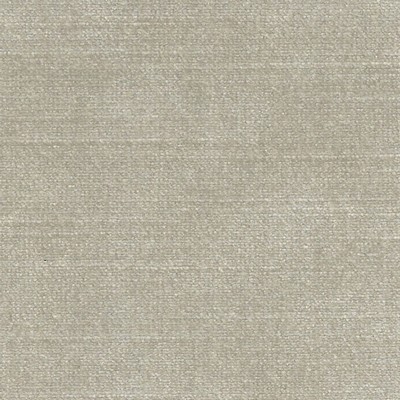 American Silk Mills Brussels Oyster in bargains 2021 Beige Viscose  Blend Solid Velvet   Fabric