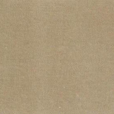 American Silk Mills Giorgio Sycamore in bargains 2021 Beige Cotton Solid Velvet   Fabric