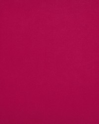 Sensuede Fuschia by  Bailey and Griffin 