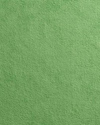 Sensuede Romaine by   