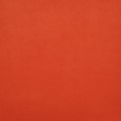 American Silk Mills Sensuede Burnt Orange in Sensuede Orange NA Recycled  Blend High Wear Commercial Upholstery  Solid Suede   Fabric