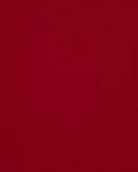 Sensuede Cranberry by   