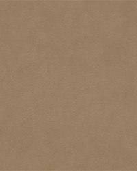 Barrow Counterpoint 11105 M9989 Fawn Fabric
