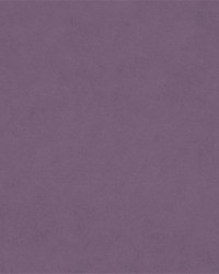 Counterpoint 11801 M9989 Lilac by  Barrow 