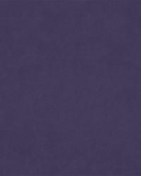 Barrow Counterpoint 11805 M9989 Violet Fabric