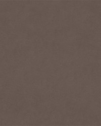 Barrow Counterpoint 12303 M9989 Oyster Fabric