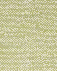 Conga Lime by  Bella Dura Home 