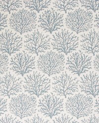 Coraline Cerulean by   