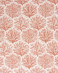 Coraline Persimmon by   