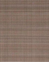 Grasscloth Umber by   