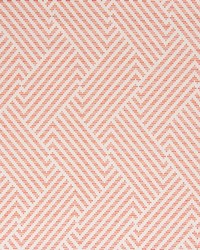 Trivoli Persimmon by   