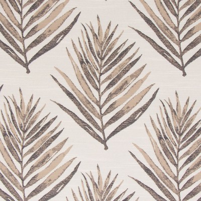 Bella Dura Home Royal Palm Umber in cut program 2022 Brown Multipurpose HIGH  Blend Fire Rated Fabric High Performance Leaves and Trees  Tropical  Floral Outdoor  Classic Tropical   Fabric