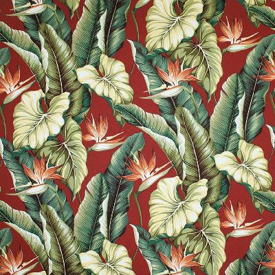 Big Kahuna Bird of Paradise Burgundy in spring 2015 Red Drapery-Upholstery Cotton Tropical   Fabric