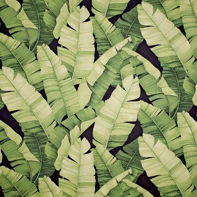 Big Kahuna Manele Black Green in spring 2015 Black Drapery-Upholstery Cotton Tropical   Fabric
