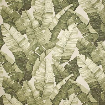 Big Kahuna Manele Natural in spring 2015 Beige Drapery-Upholstery Cotton Tropical   Fabric