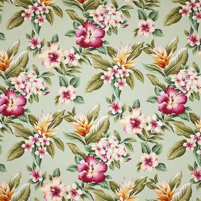 Big Kahuna Olelo Sage in spring 2015 Green Drapery-Upholstery Cotton Tropical   Fabric