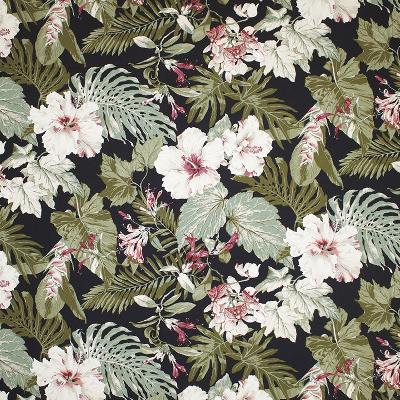 Big Kahuna Tropical Garden Black in spring 2015 Black Drapery-Upholstery Cotton Tropical   Fabric