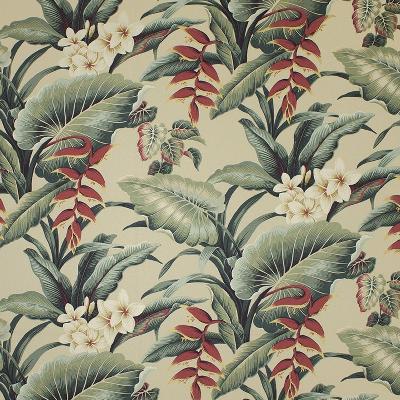 Big Kahuna Waipahee Natural in spring 2015 Beige Drapery-Upholstery Cotton Tropical   Fabric