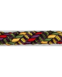  1/2 in Chenille Lipcord 1179WL PGG by   