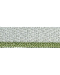 3/16 in Braided Cord with Lip BEL310 GUA by  Schumacher Fabric 