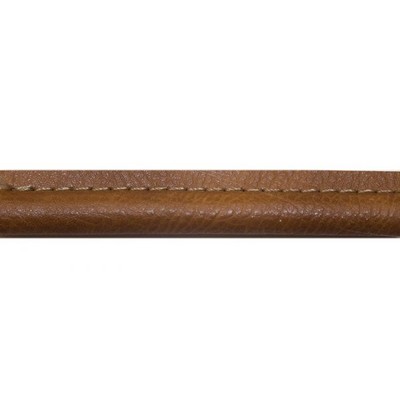 Brimar Trim 3/8 in Faux Leather Cord with Lip BSK100 BFA in Big Sky  Cord