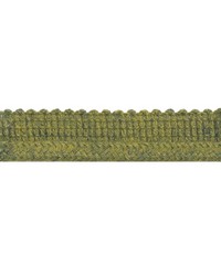 1/4 in Lipcord NA315 ALG by   