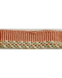  1/4 in Woven Self Lipcord R9843 AFN by   