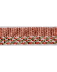  1/4 in Woven Self Lipcord R9843 DMR by  Barrow 