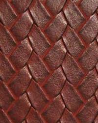 San Remo Pomegranate by   