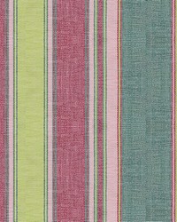 Cotton Stripe C by  Catania Silks 
