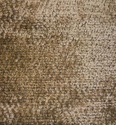 Chella Montecatini 74 Ash Bark in Chella Brown Drapery-Upholstery Solution-Dyed  Blend Fire Rated Fabric Solid Color Chenille  Solid Outdoor  Solid Brown   Fabric