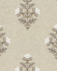 Anisa 619 Truffle by   