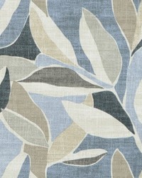 Artemis 503 Serenity by   