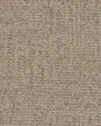 Backdrop 660 Hemp by   