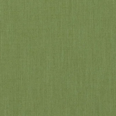 Covington Belfast 232 Palm