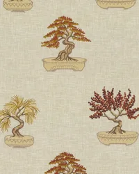 Bonsai 344 Spice by   