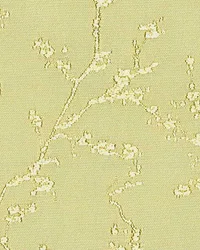 Bud Burst 10 Champagne by   