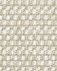 Bumpkin 18 Oyster by   