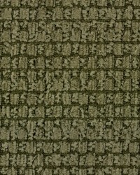 Bumpkin 238 Kashmir by   