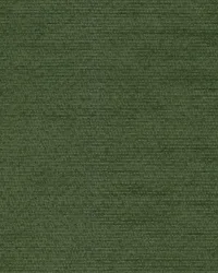 Cushy 228 Fern by   