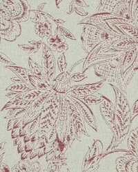 Cyperus 344 Spice by   